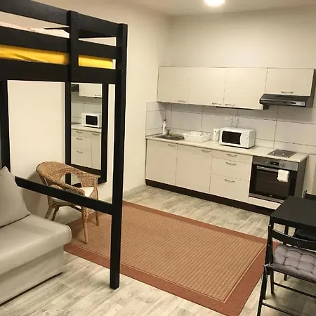 Apartmans For 2 Or 6 Peoples 12 Min By Walk From The Center Apartment Brno