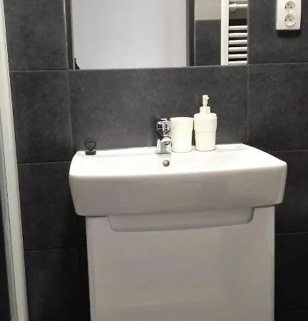 Apartment Apartmans For 2 Or 6 Peoples 12 Min By Walk From The Center Brno
